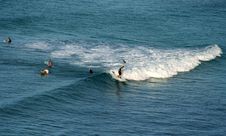 Hawaii Waikiki Surfer Royalty Free Stock Image