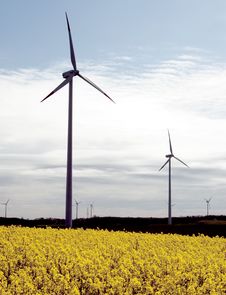 Wind Turbines, Yellow Field. Stock Photos Wind Turbines, Yellow Field. Stock Photos