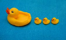 Three Ducklings And A Duck Royalty Free Stock Images Three Ducklings And A Duck Royalty Free Stock Images