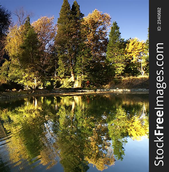 Reflection of autumn trees in a nearby lake. Reflection of autumn trees in a nearby lake