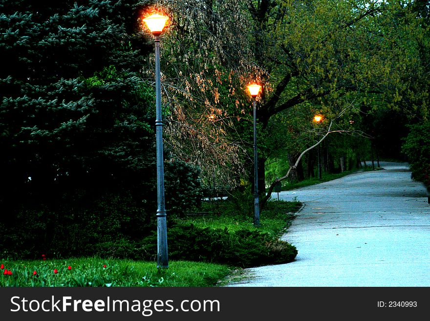 Long alley among trees in the park