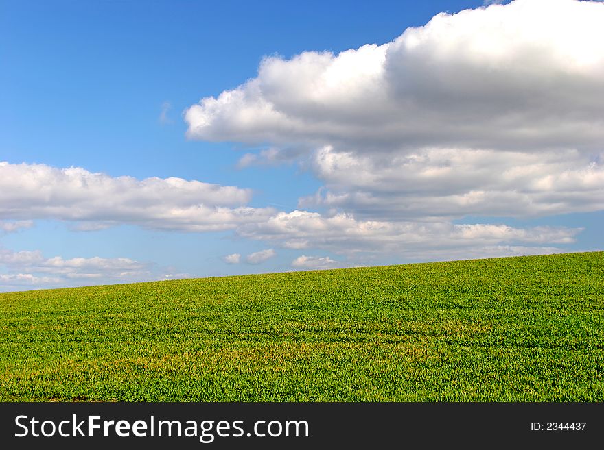 Photo of green field with blue, cloudy sky. Useful as background. Photo of green field with blue, cloudy sky. Useful as background