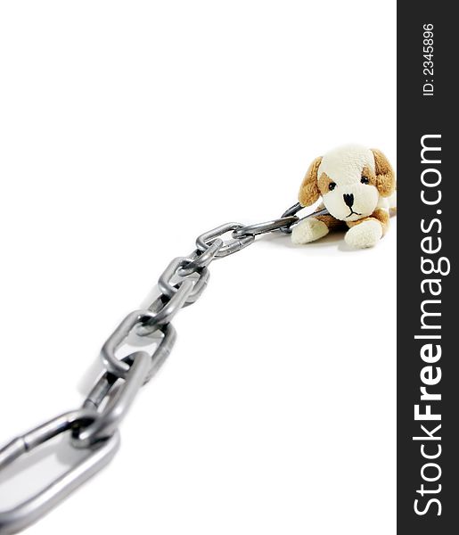 Soft Toy Puppy And Circuit On