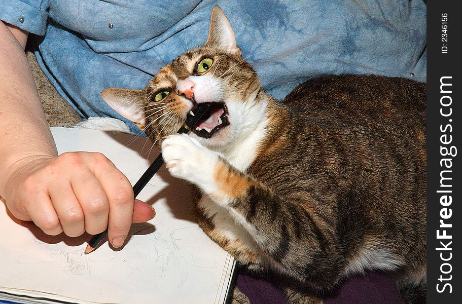 Catty art assistant insisting pencil be done her way. Catty art assistant insisting pencil be done her way