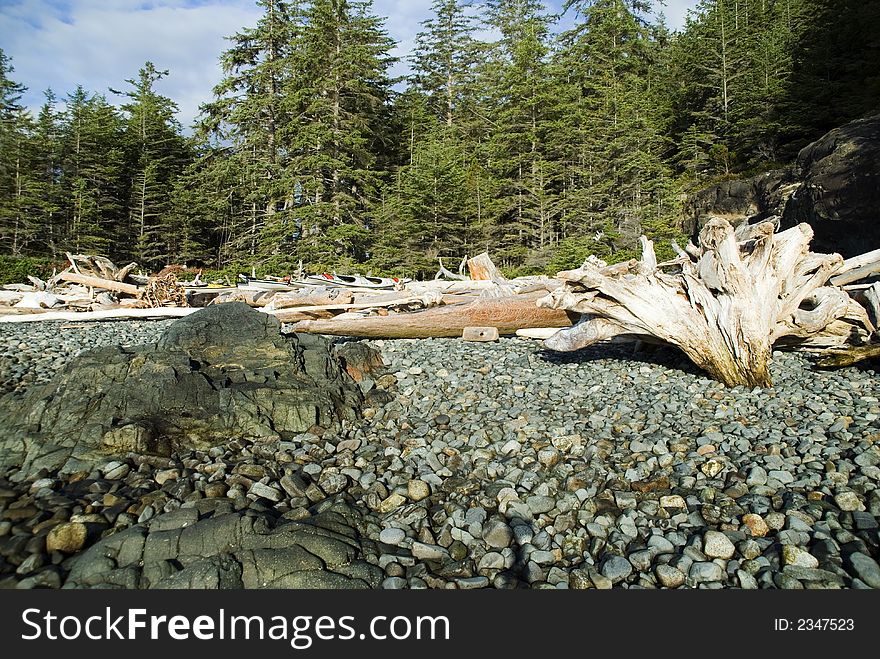 Image of the pebbled beach on hanson island in canada. Kayaks and dead woods lay on the beach.