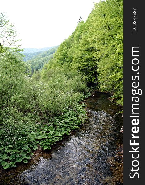 Green heart of Croatia - Kamacnik canyon in mountain district