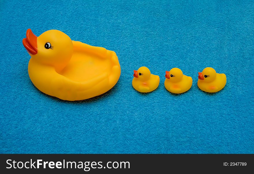 Three ducklings and a duck