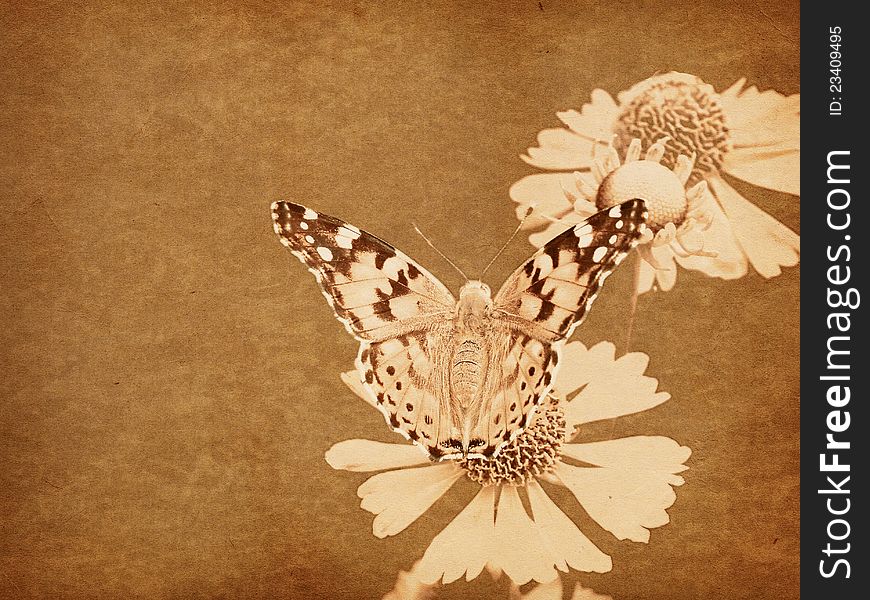Vintage paper with colorful butterfly background, texture. Vintage paper with colorful butterfly background, texture