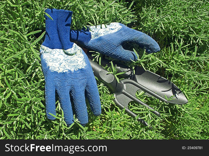 Gloves and Garden Shovel and rake, spring time