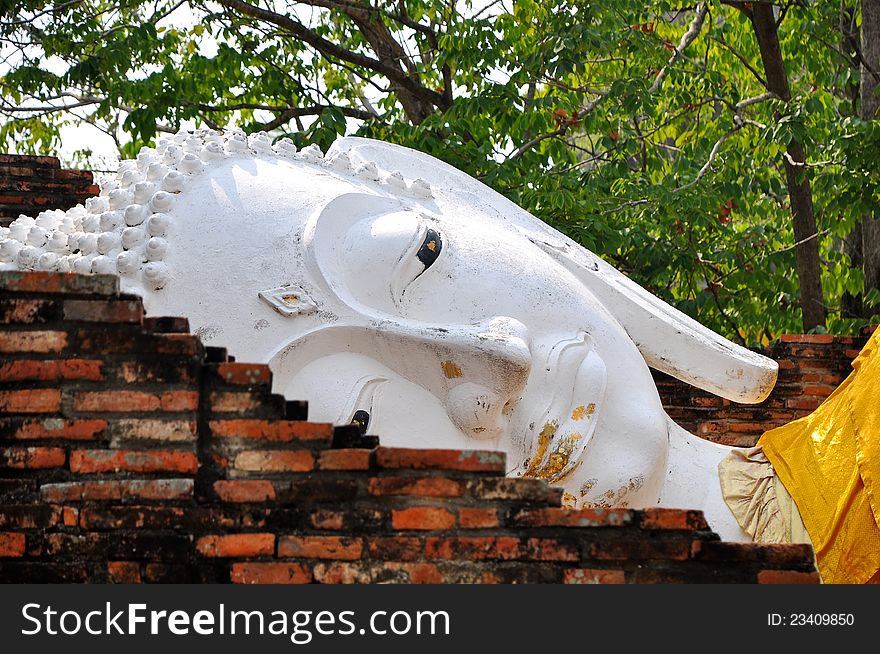 Face of Ruin white image of Buddha in Ayutthaya historical park