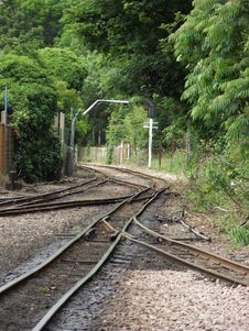Narrow Gauge Railway Tracks Stock Image