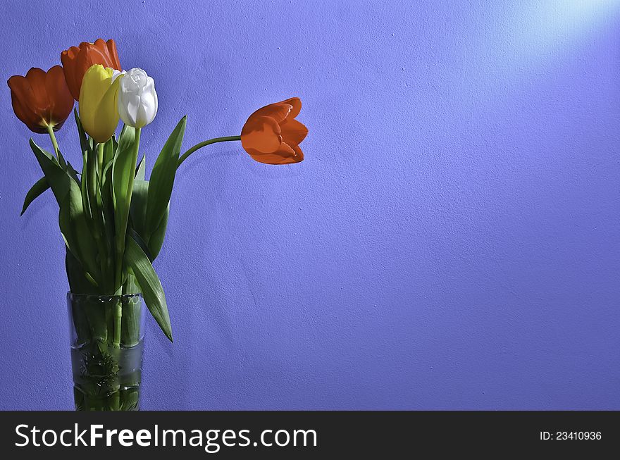 Five tulip in cristal vase. Five tulip in cristal vase