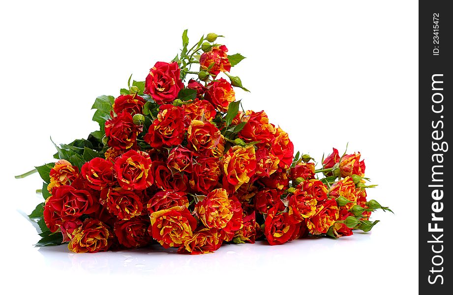 Bunch of red roses  isolated on white background