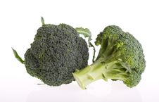 Broccoli Stock Photography Broccoli Stock Photography