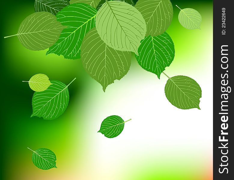 Green Leave Background