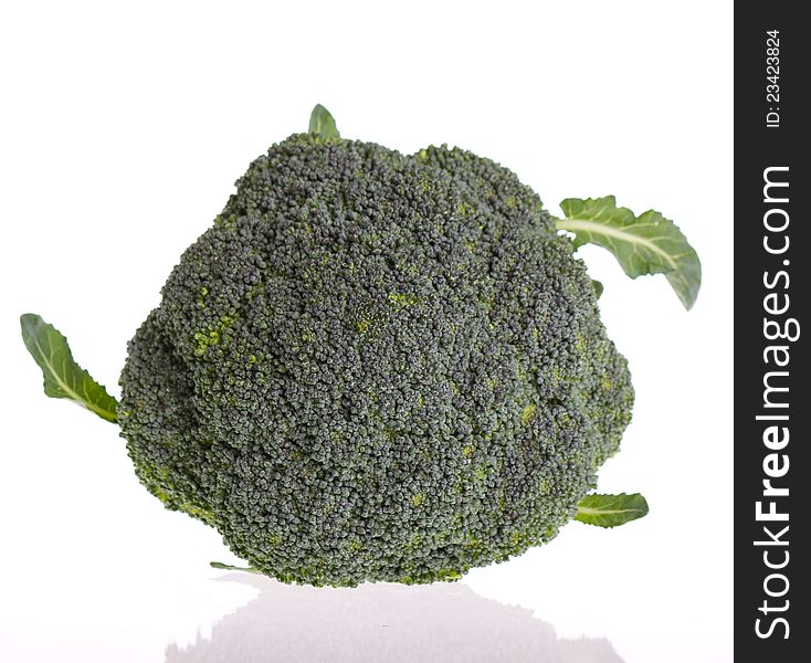 Broccoli on the White Background