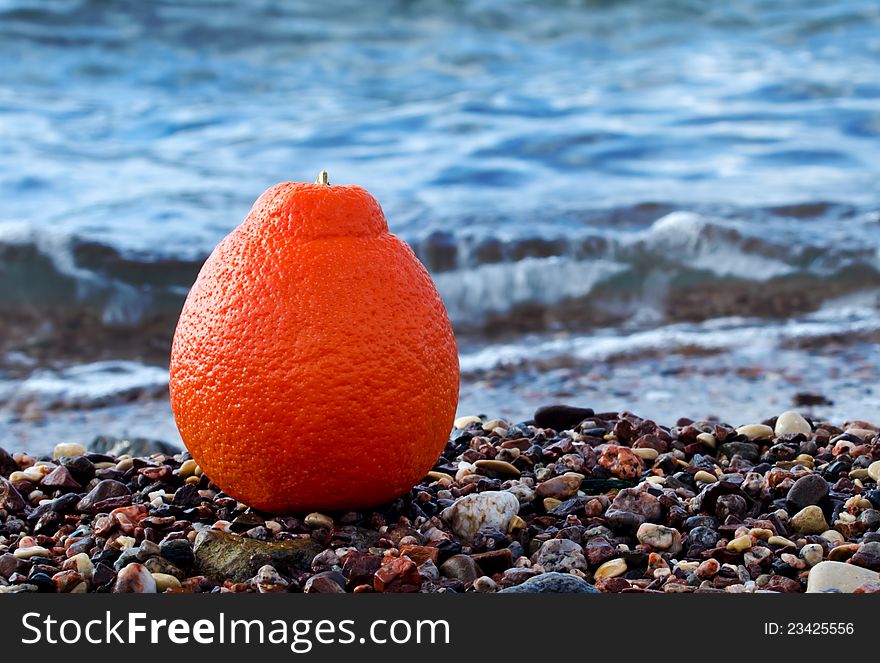 Orange on marine beach is a concept of healthy and happy life. Orange on marine beach is a concept of healthy and happy life