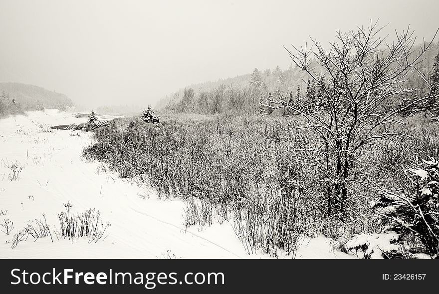 A winter storm just North of Sault Ste. Marie, Ontario.
