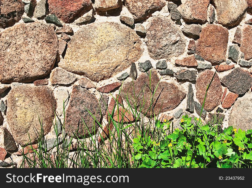 Green grass and flowers of celandine against ancient fortification. Gdov, Pskov region. Russia. Green grass and flowers of celandine against ancient fortification. Gdov, Pskov region. Russia