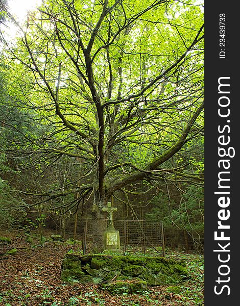 Autumn scenery of Calvary in the deep forest