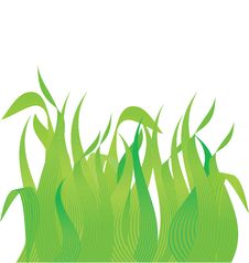 Meadow Grass Royalty Free Stock Photo Meadow Grass Royalty Free Stock Photo