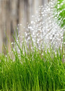 Garden Tools Royalty Free Stock Images Garden Tools Royalty Free Stock Images