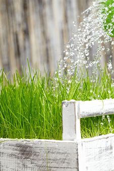 Garden Tools Royalty Free Stock Image Garden Tools Royalty Free Stock Image