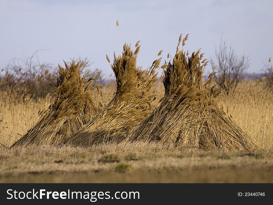 Reed Stack