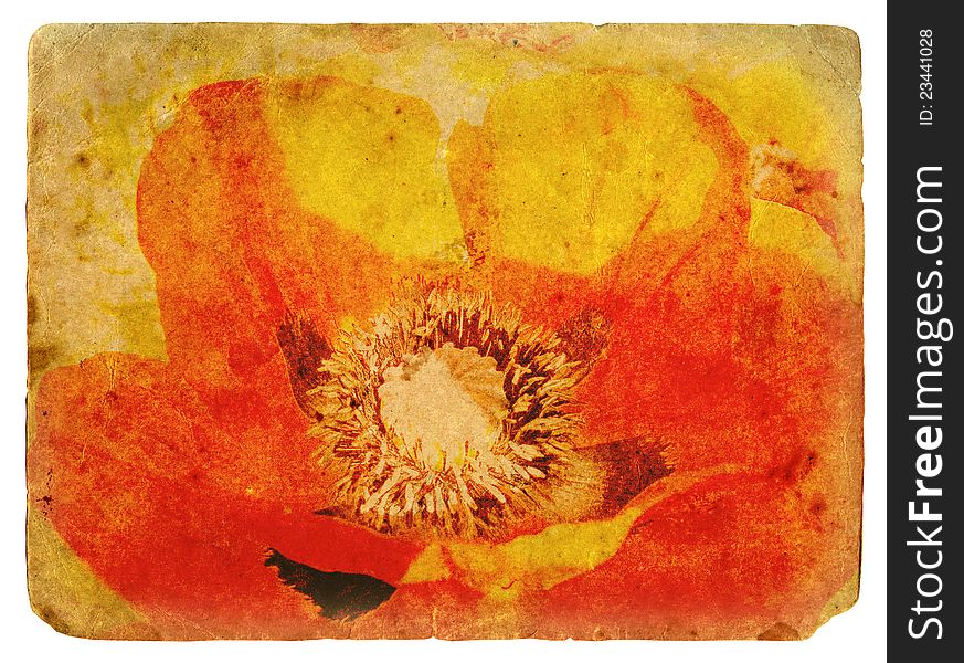 Red Poppy. Old postcard, design in grunge and retro style