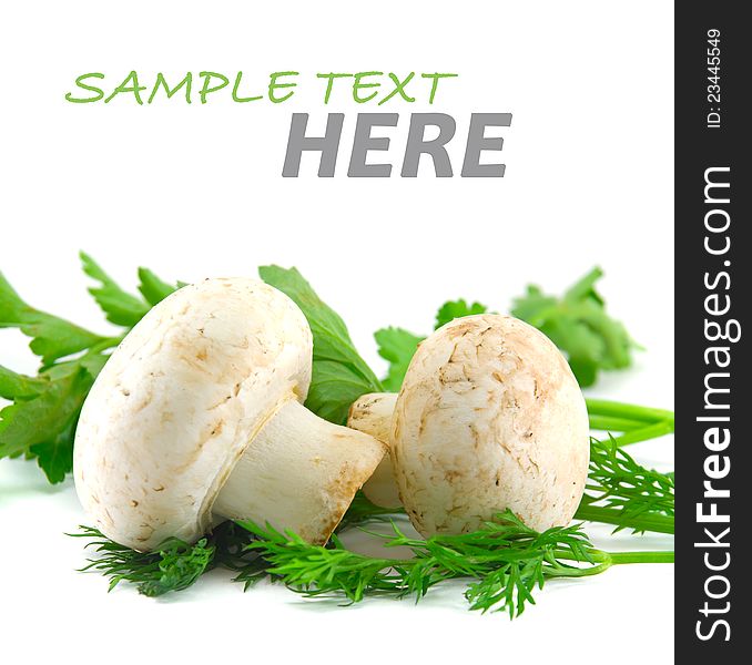 Mushrooms  on a white background with sample text