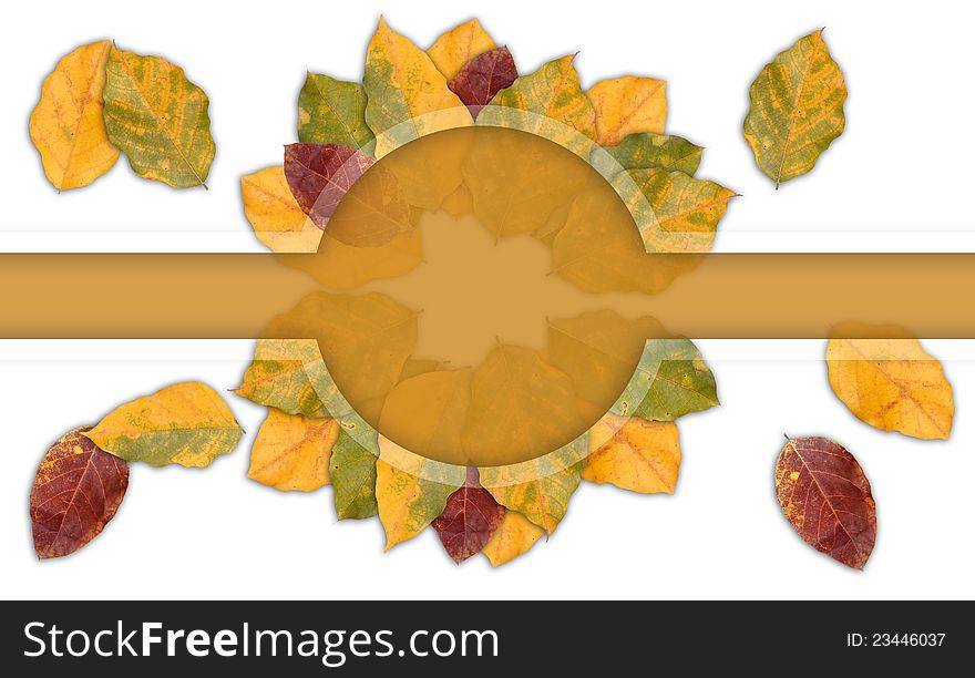 Autumn leaves forming colorful frame with copy space to write your message