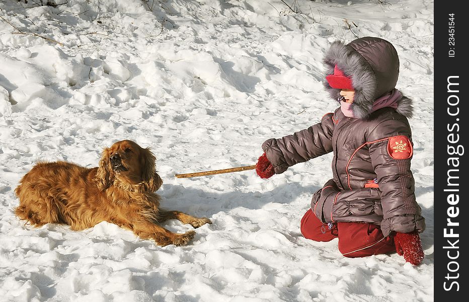 Child and dog play with stick on snow