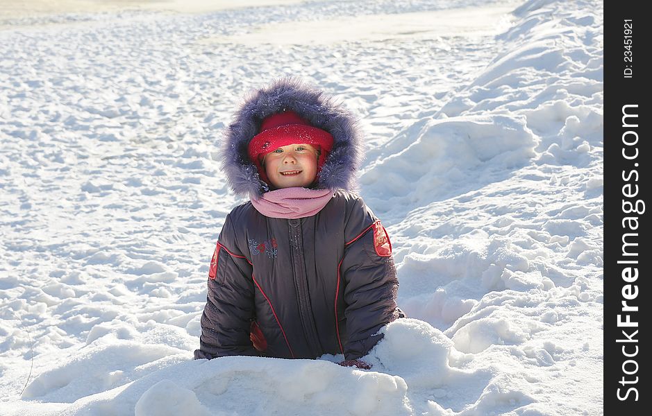 Child and dog play with stick on snow