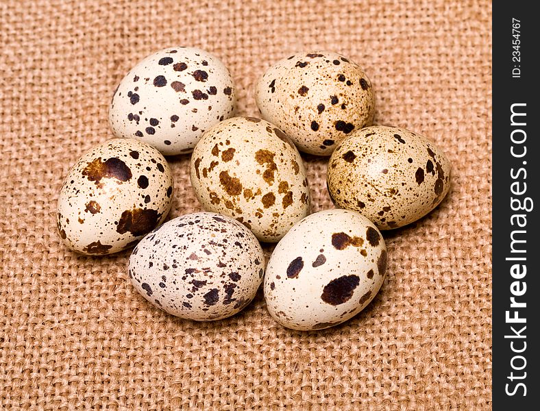 Quail egg