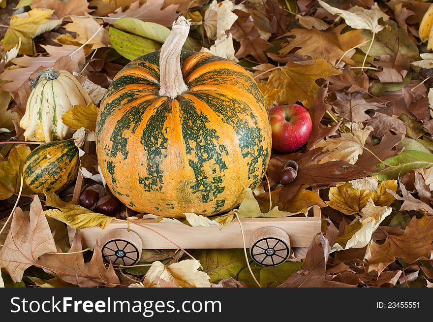 Orange pumpkin on a wooden trolley. Orange pumpkin on a wooden trolley