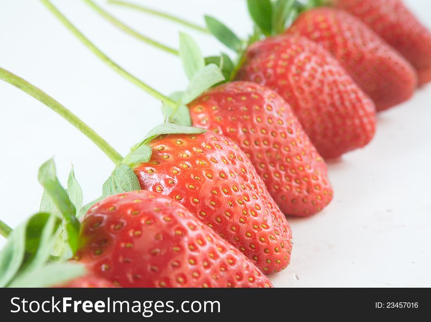 Row of red strawberries closeup. Row of red strawberries closeup