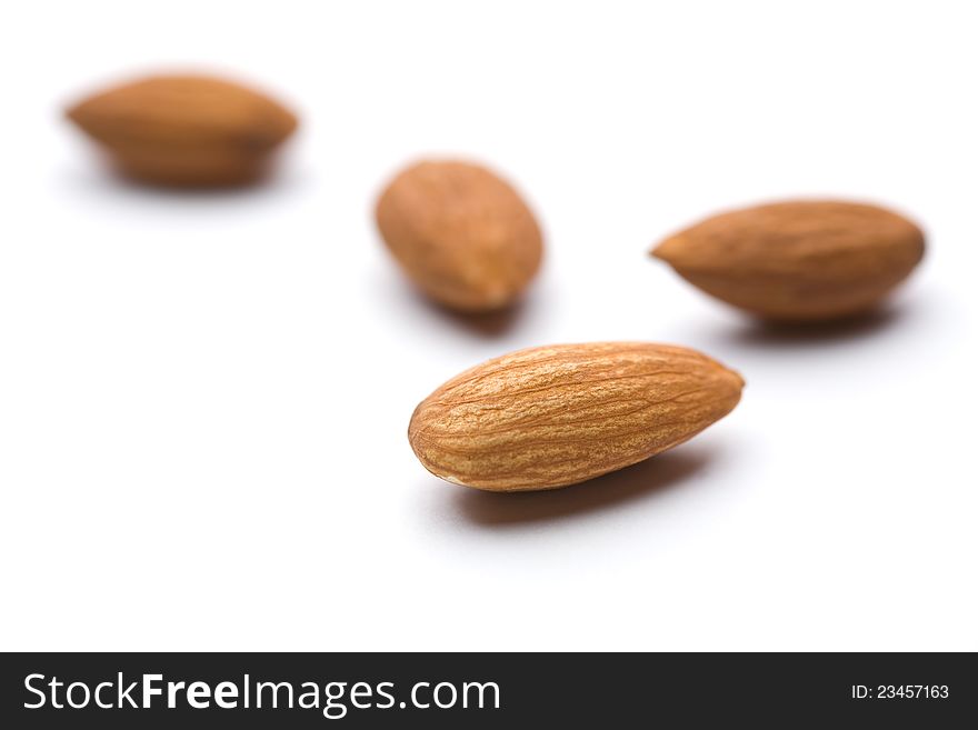 Almond of the white back