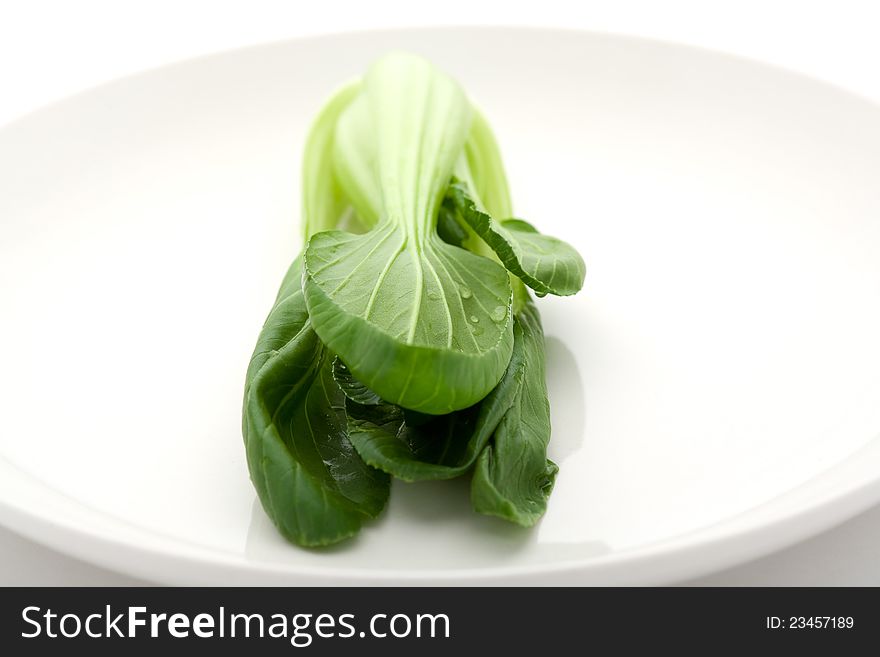 Chinese cabbage on a white plate