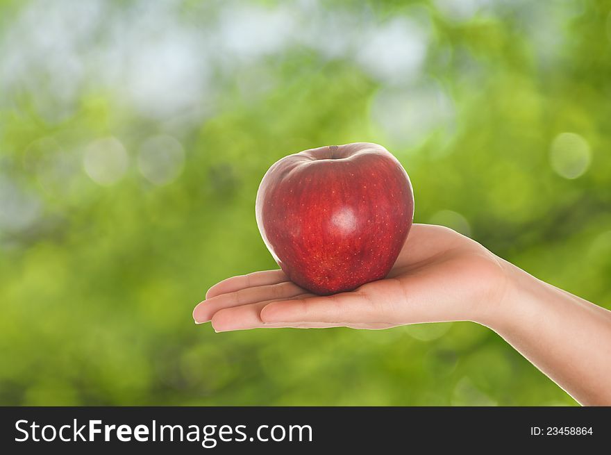 Red apple in woman hands