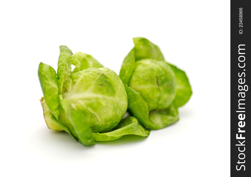 Arrangement of brussels sprouts isolated on white background