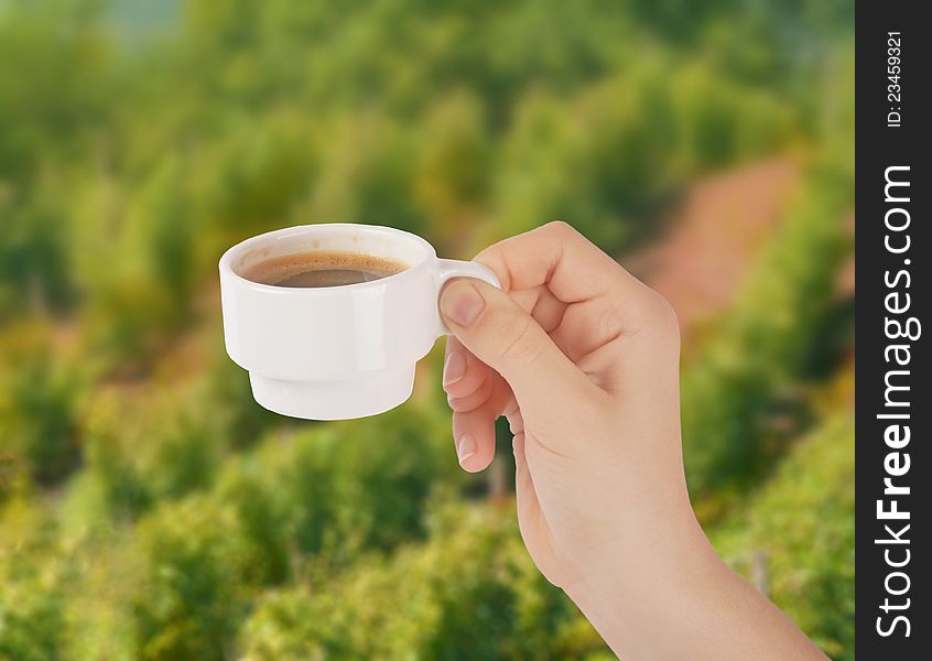 Hand with a cup of coffee