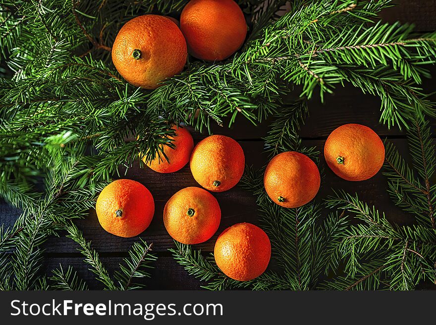 Orange tangerines with fir branches. Orange tangerines with fir branches