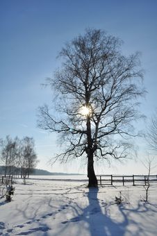 Winter Lanscape On Sunset Stock Image Winter Lanscape On Sunset Stock Image