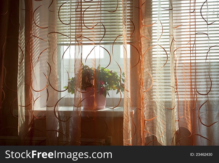 Beautiful flowerpot on a window sill with morning beams of the sun