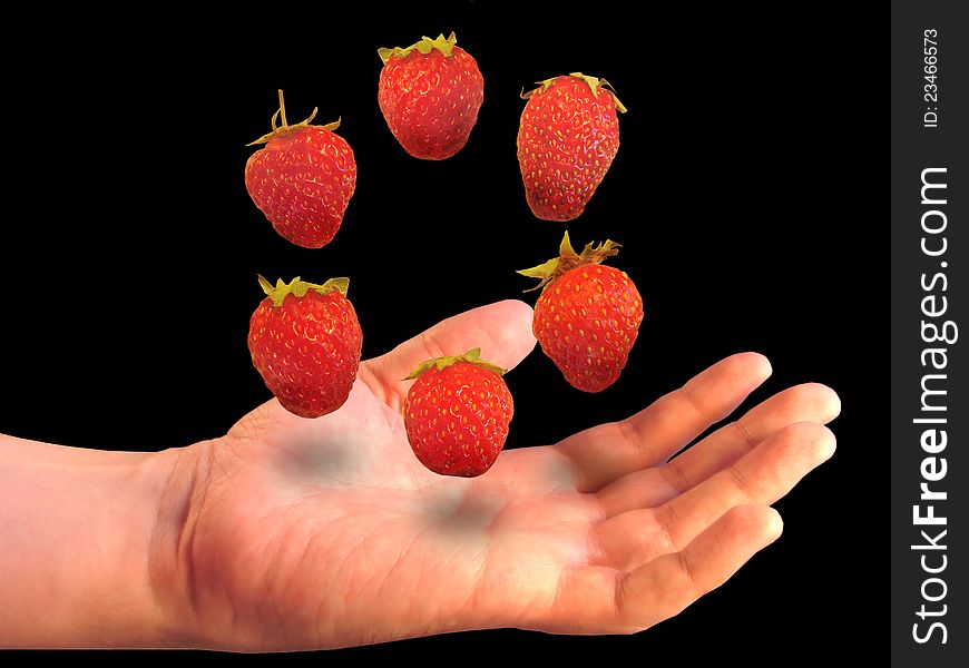 Six berries of a strawberry soaring over a palm on a black background. Six berries of a strawberry soaring over a palm on a black background