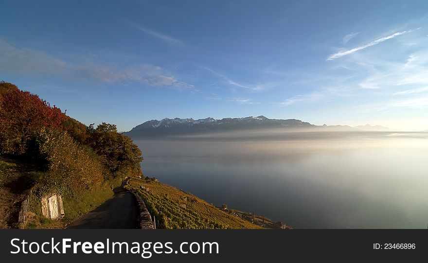 Landscape: Vineyard, lake and mountain