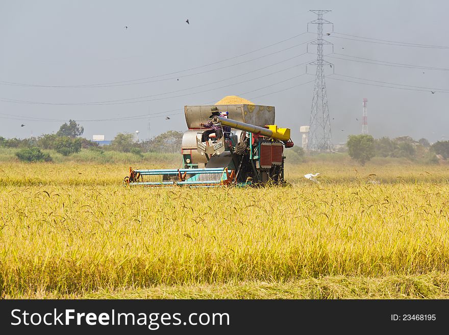 Rice harvesting with combine harvester, Thailand. Rice harvesting with combine harvester, Thailand