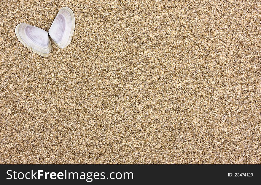 Seashell in the sand - holiday concept with copy space. Seashell in the sand - holiday concept with copy space