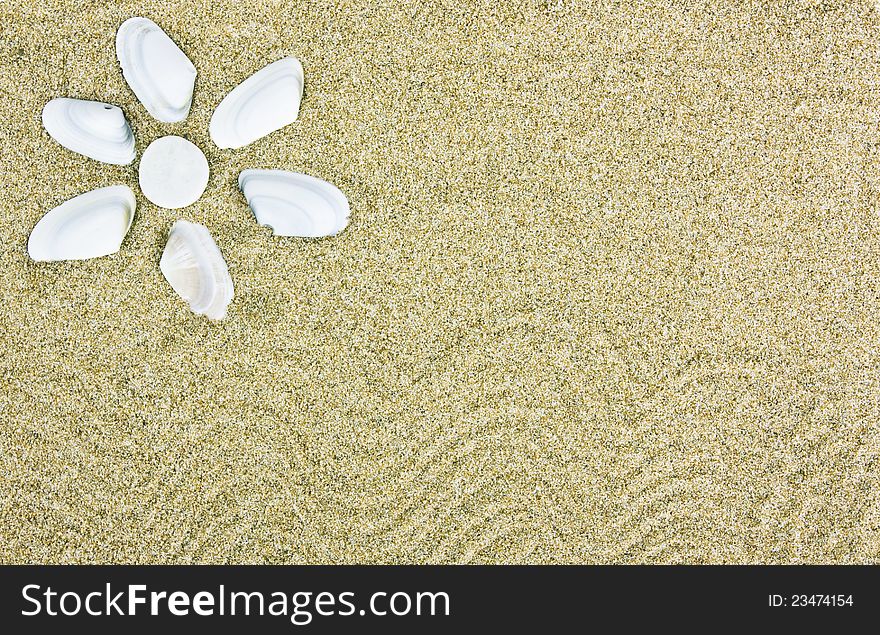 Seashell in the sand - holiday concept with copy space. Seashell in the sand - holiday concept with copy space