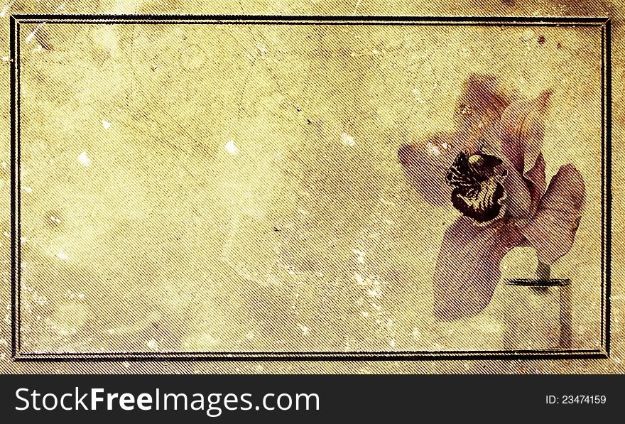 Orchid flower over grunge background with copy space. Orchid flower over grunge background with copy space